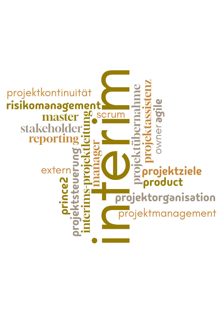 Interims-Projektleitung